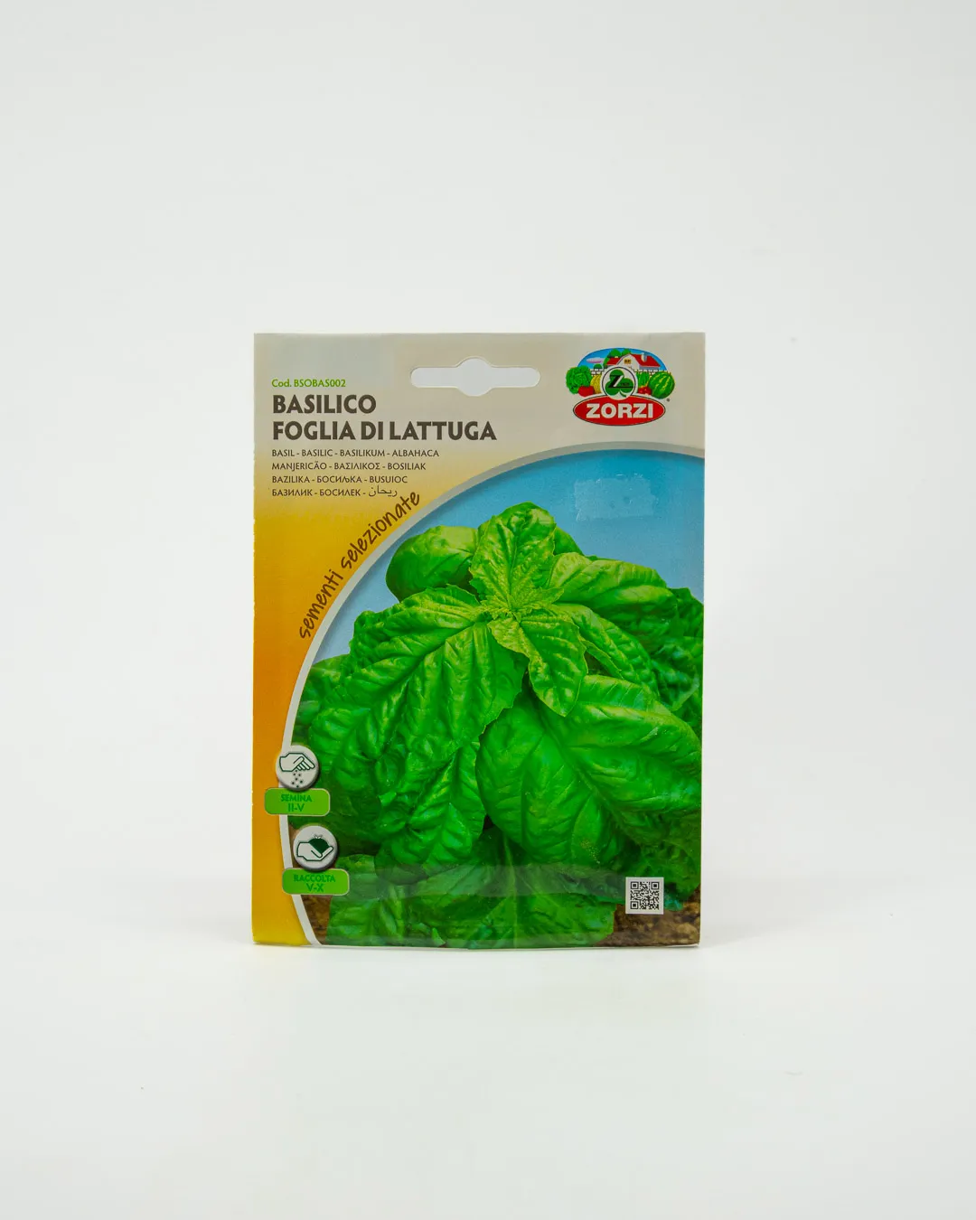 Basilico foglia di lattuga