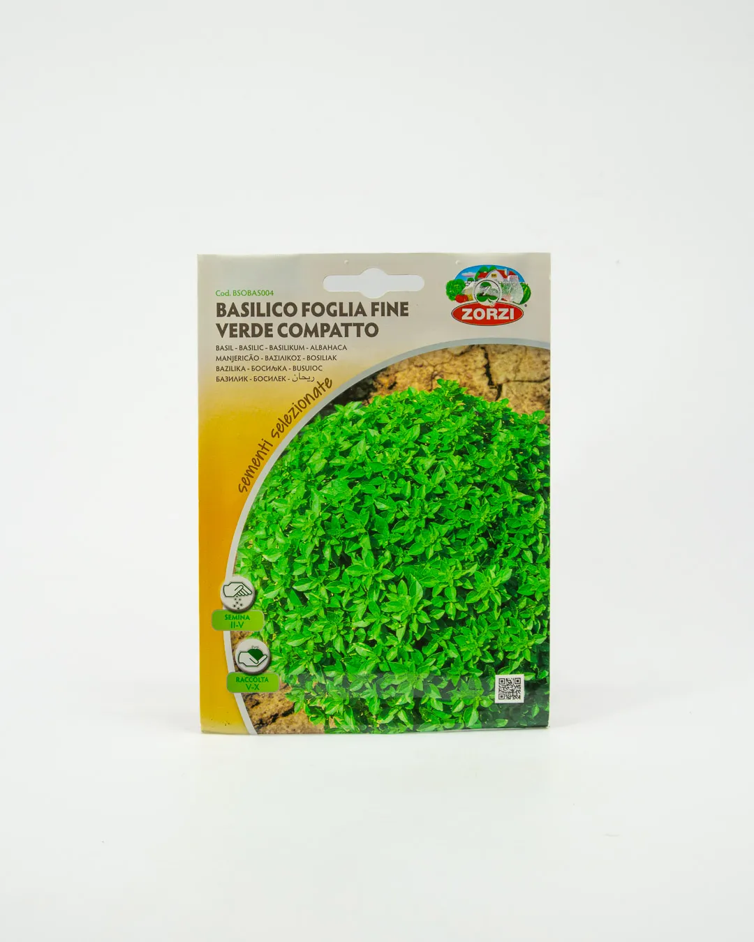 Basilico foglia fine verde compatto
