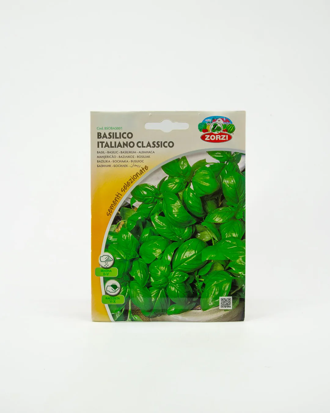 Basilico italiano classico