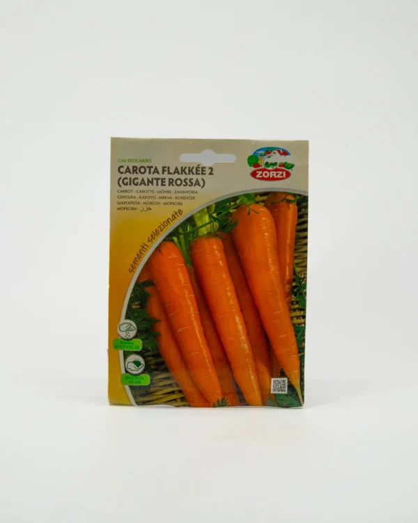 Carota flakkée 2