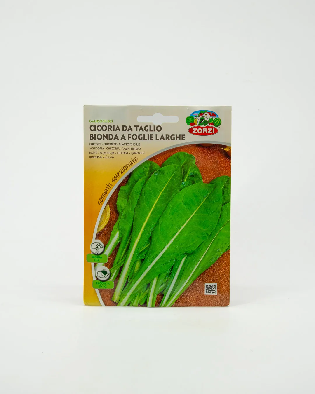 Cicoria da taglio bionda a foglie larghe