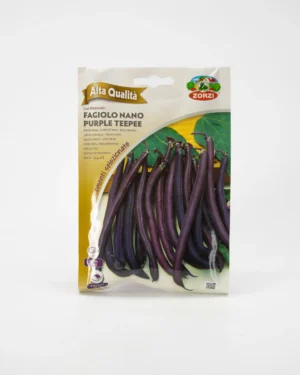 Fagiolo nano purple teepee