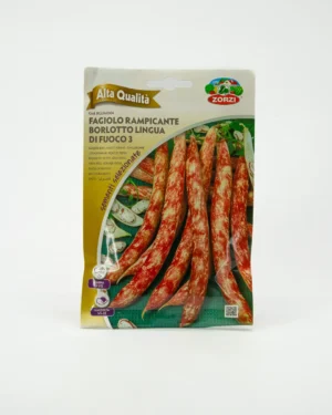 Fagiolo rampicante borlotto lingua di fuoco 3