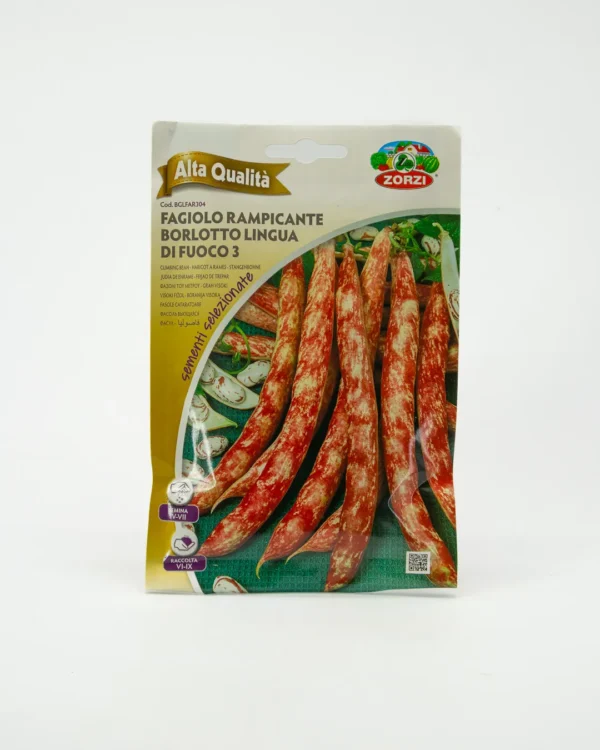 Fagiolo rampicante borlotto lingua di fuoco 3